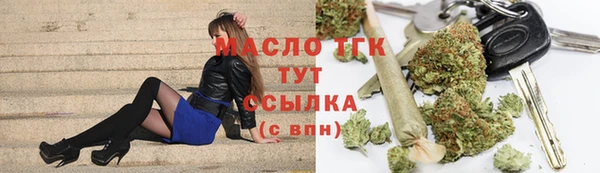 твердый Бородино