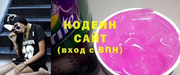 твердый Бородино