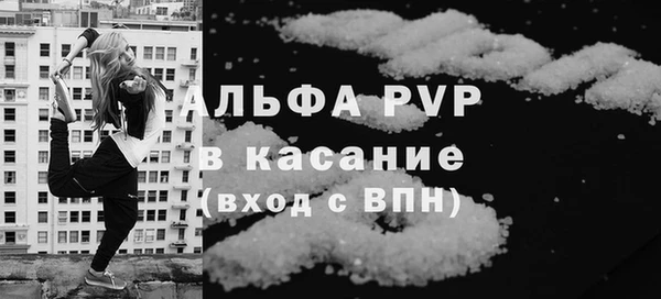 твердый Бородино