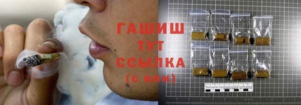 твердый Бородино