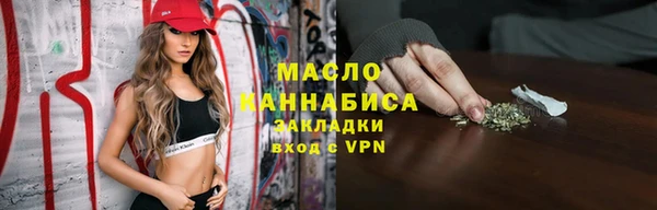 твердый Бородино
