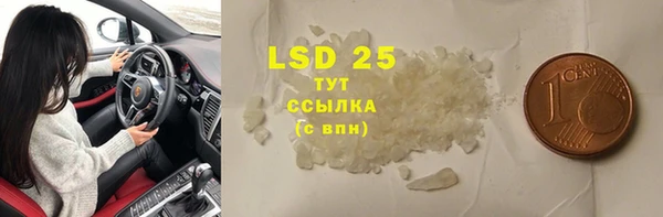 твердый Бородино