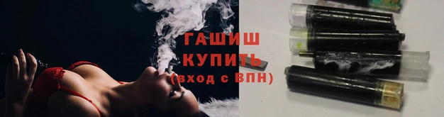 твердый Бородино