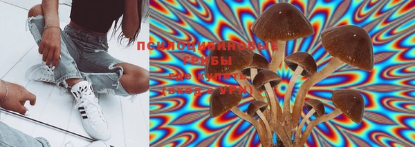 дмт Белокуриха