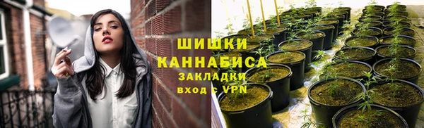 твердый Бородино