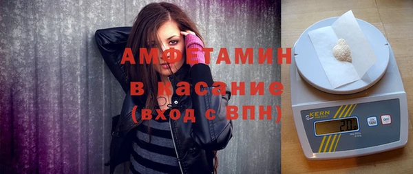 твердый Бородино