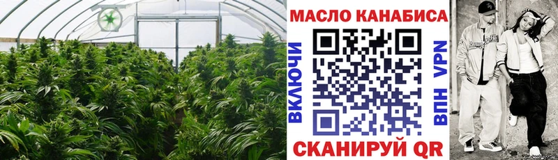 OMG ссылки  что такое   Вельск  ТГК вейп 